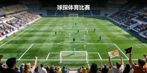 球探体育比赛绿茵场全景俯瞰图